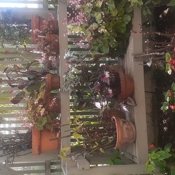 FASHION TO NATURE pause break Enjoy - Picture 1 of 6